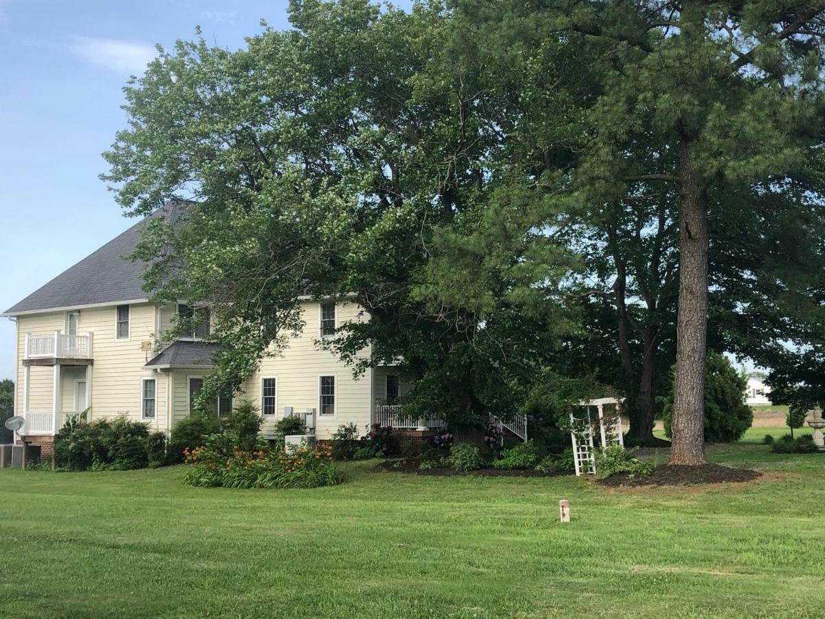 Ma Margarets House Bed And Breakfast Heathsville Esterno foto